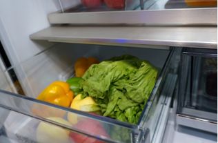 现代冰箱的全方位保鲜储藏指南 延长食材新鲜度的科学与艺术